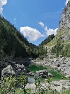 Grüne Bäume auf felsigem Berg neben Fluss unter blauem Himmel am Tag