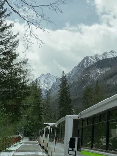 Mehrere Busse an der Straßenkante in Reihe geparkt