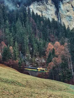 Zug fährt durch einen dichten grünen Wald in Österreich