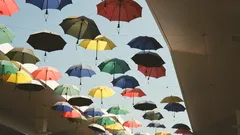 Mit Regenwetter entfaltest du Wien von einer ganz neuen Seite