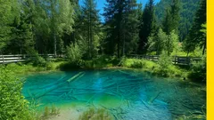 Mit diesen Ausflugszielen wird dein August in Österreich zum Abenteuer
